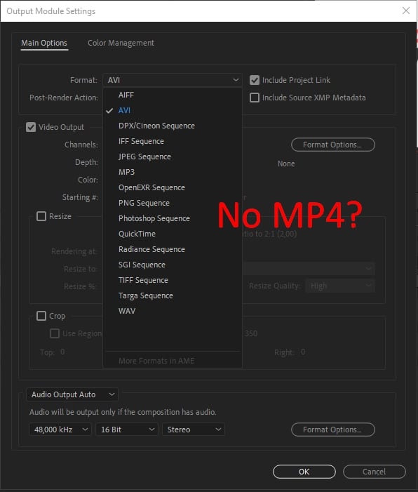 No MP4 option in the File Format Menu